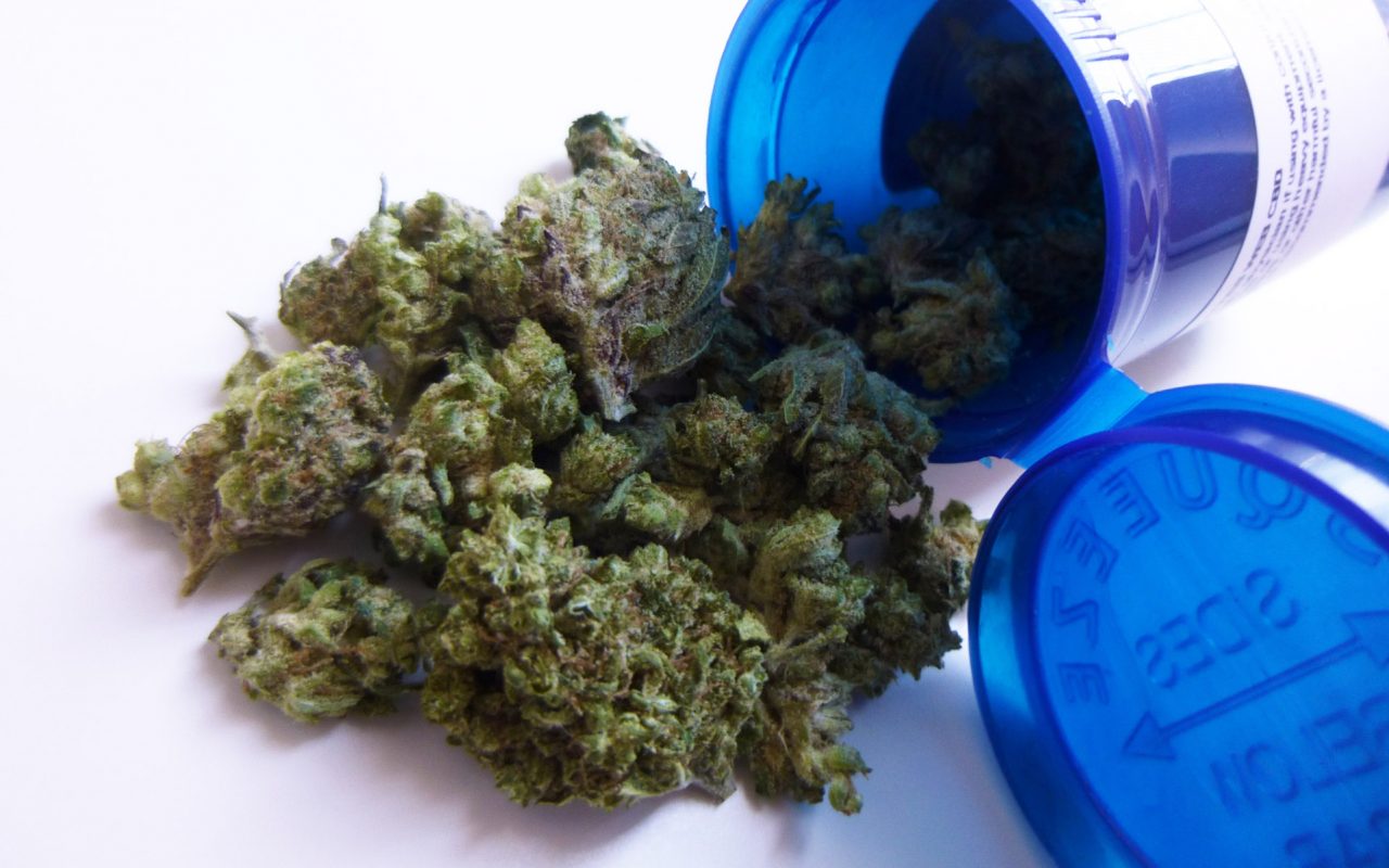 application for growing medical marijuanain alberta