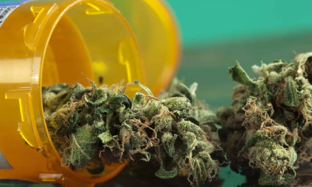 application for growing medical marijuanain alberta