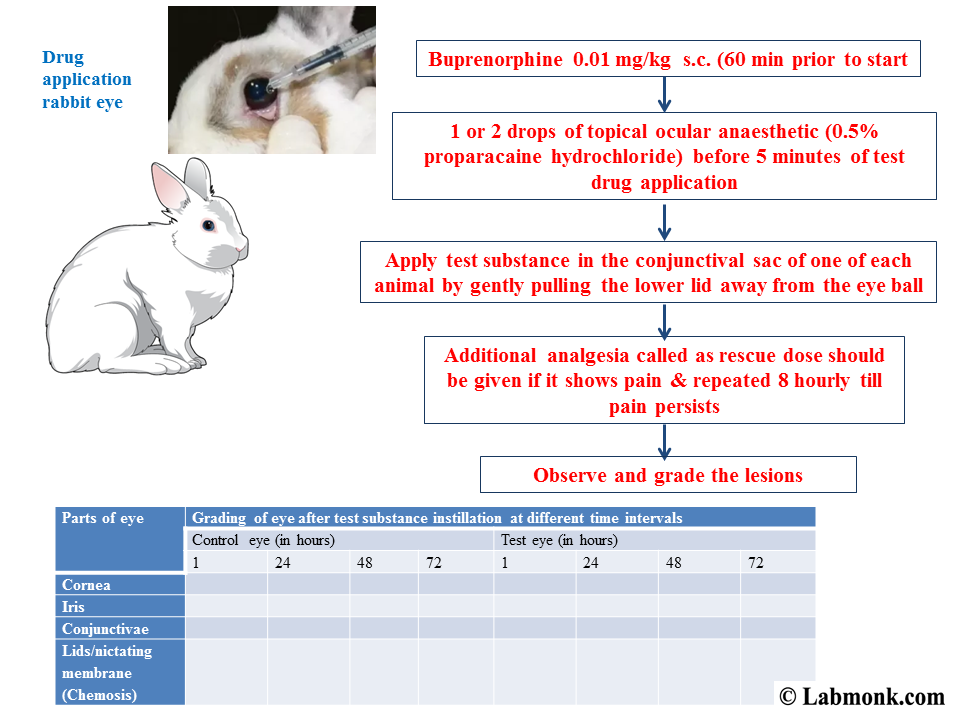 application of animal cell culture in toxicity testing