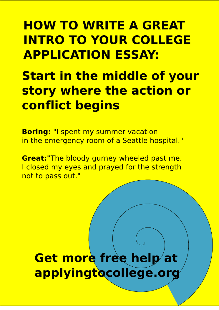 how to write an essay application